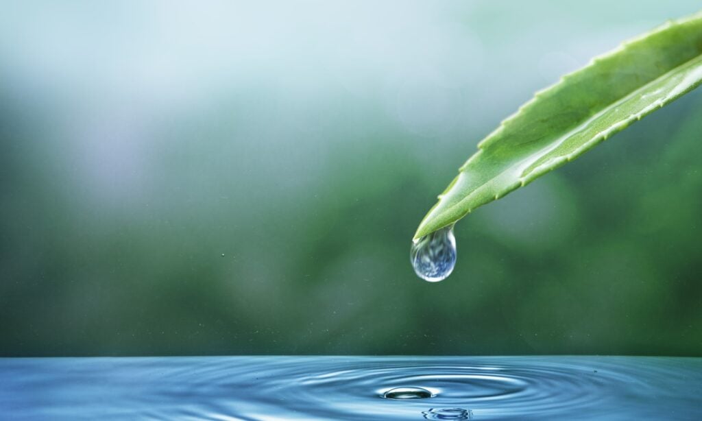 home water sensors