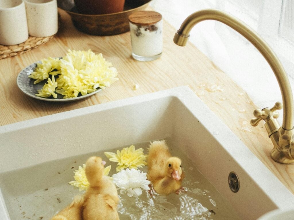 Environmental cost of water leaks