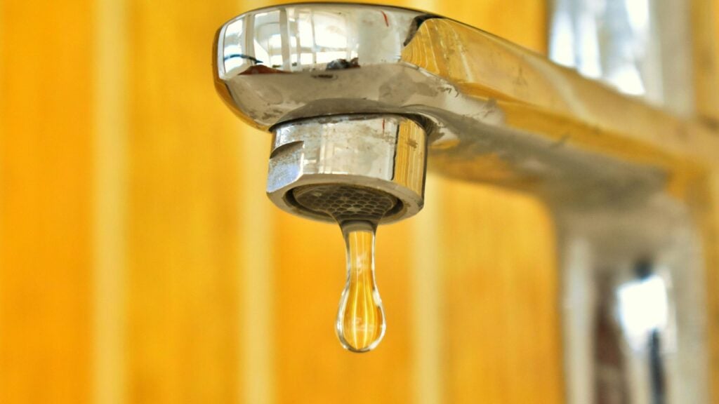 detect water leaks