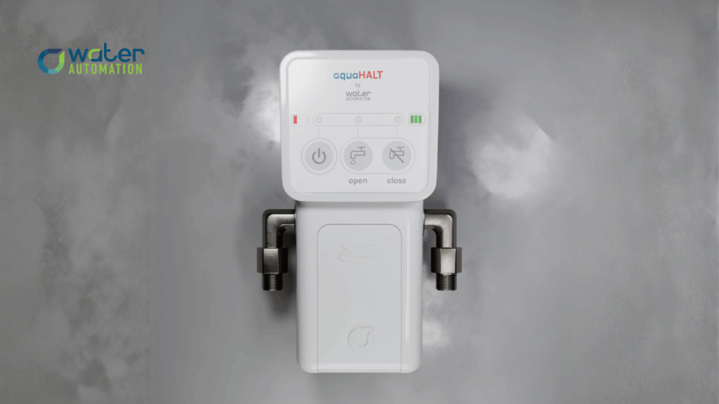 automatic water leak detection and shut-off system